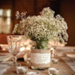 Meet your Posher, Violeta elizabeth